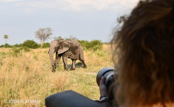 botswana_safari_josh_eles