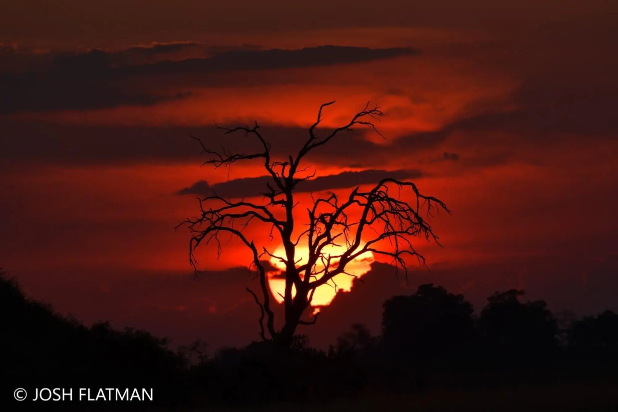 botswana_safari_josh_sunset