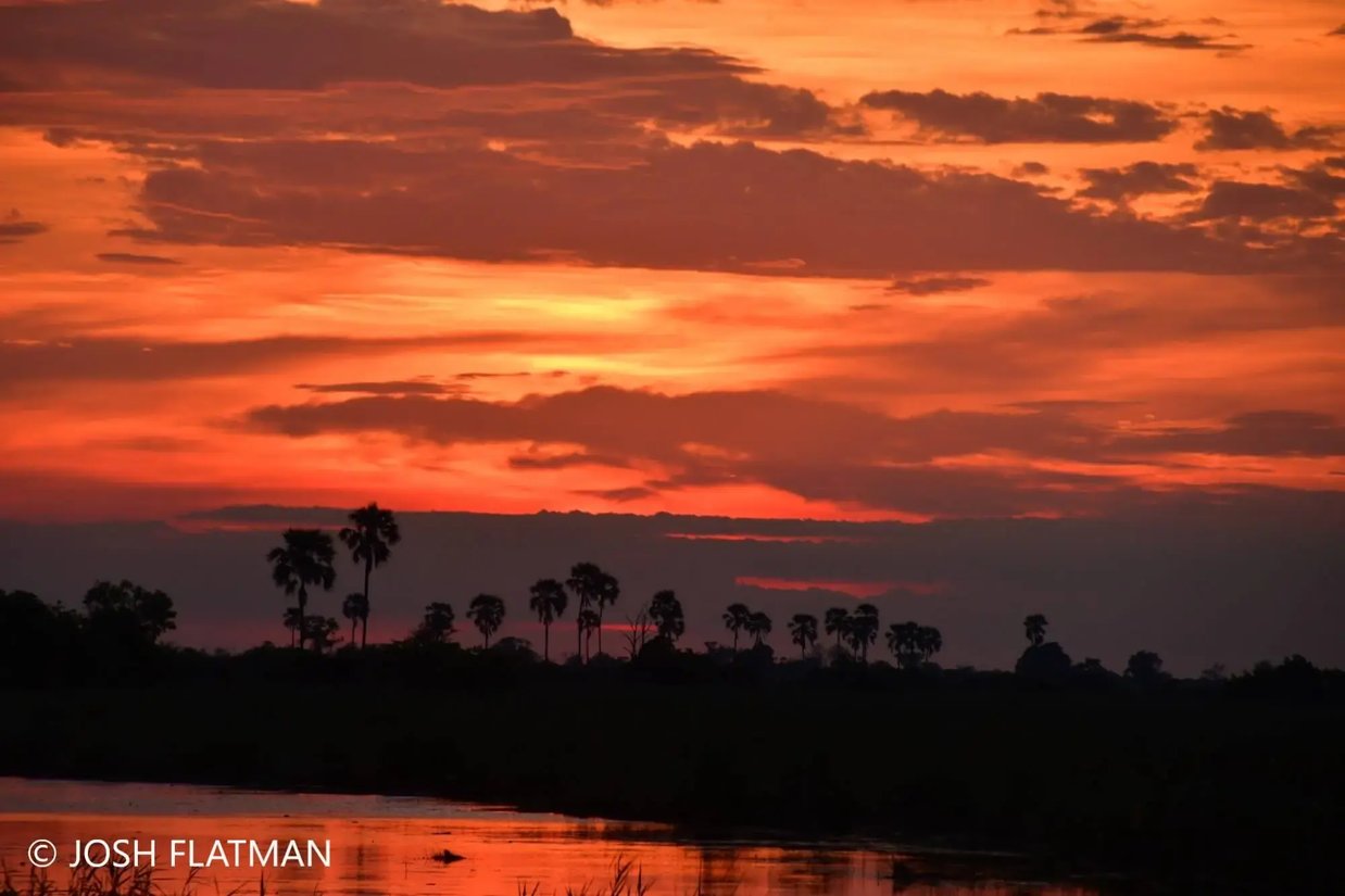botswana_safari_josh_sunset2