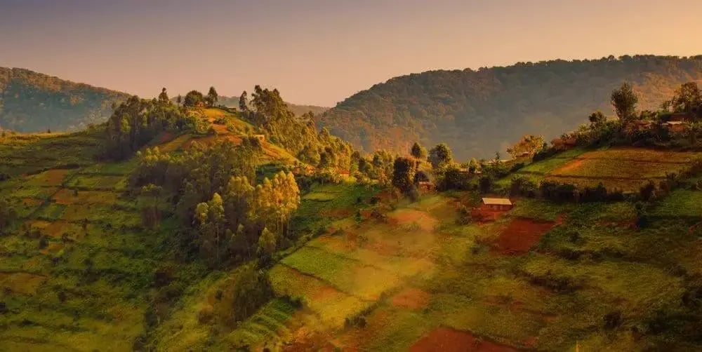 bwindi_iimpenetrable_forest-_national_park