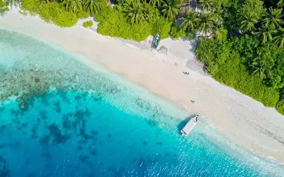 maldives_beach_free_stock_photo