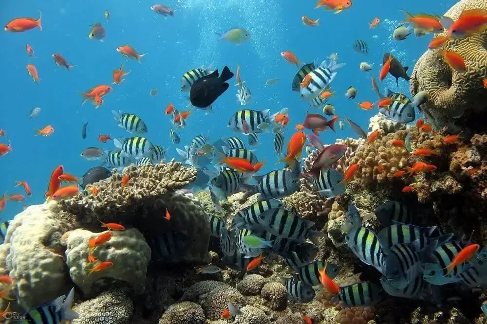 fish_aquarium_family_cape_town_with_kids