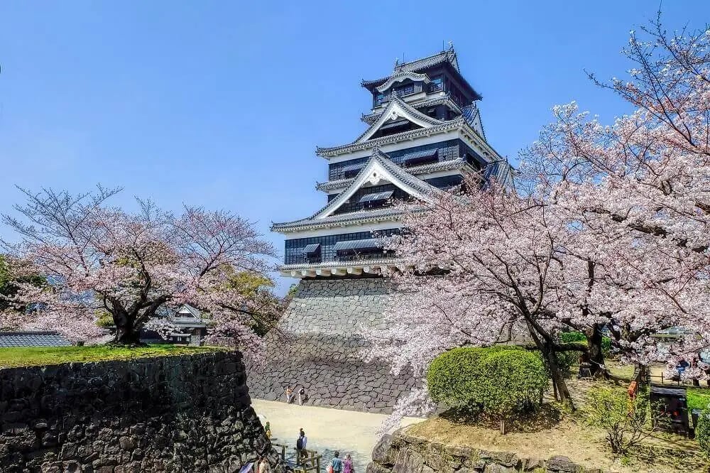 japanese_castle_cherry_blossom_viewing_sakura