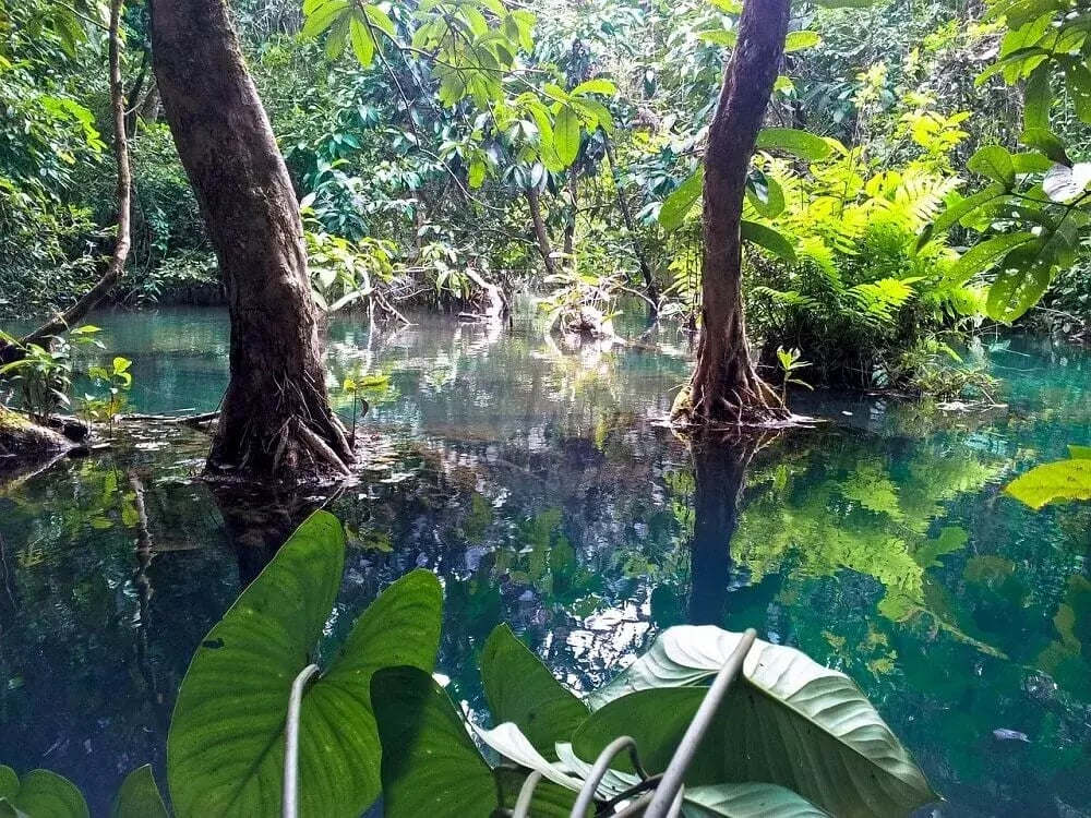 jungle_water_pools_luang_prabang_laos-1
