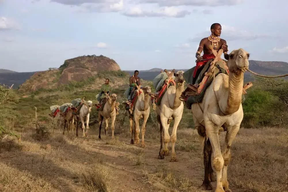 kenya_camel_safari_east_africa_honeymoon