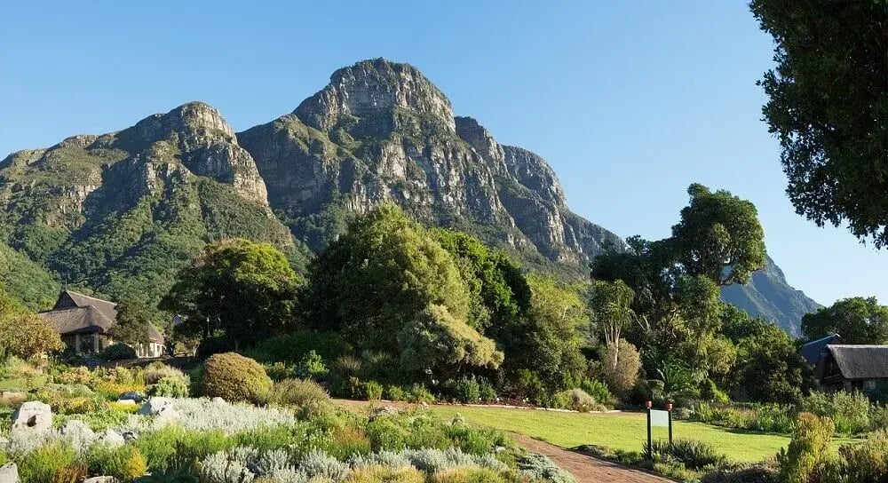 kirstenbosch_botanical_gardens_family_cape_town_with_kids