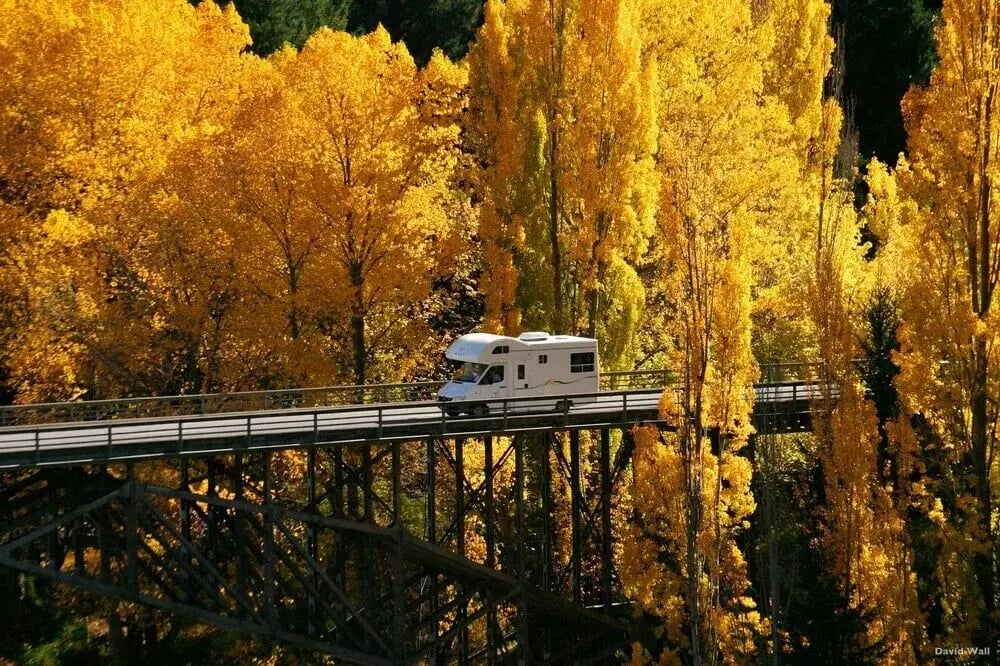 l384-arrowtown-central-otago-david-wall