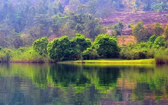 Wayfairer Travel Guide: Rwanda
