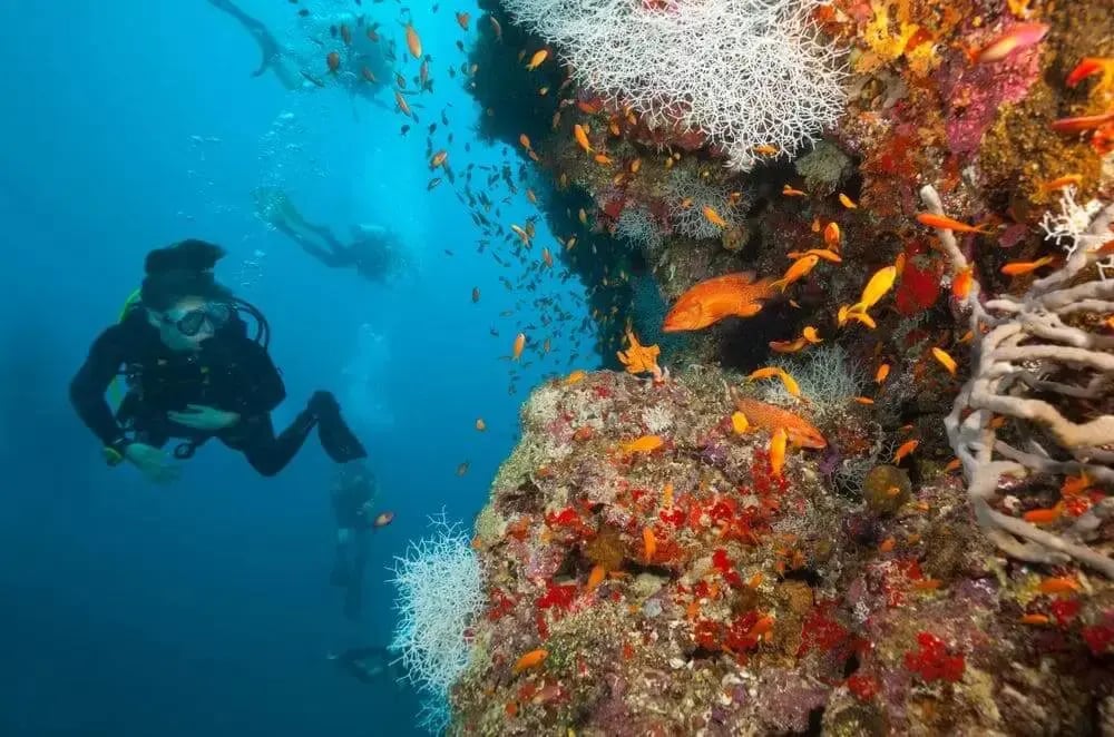 maldives_woman_scuba_diving