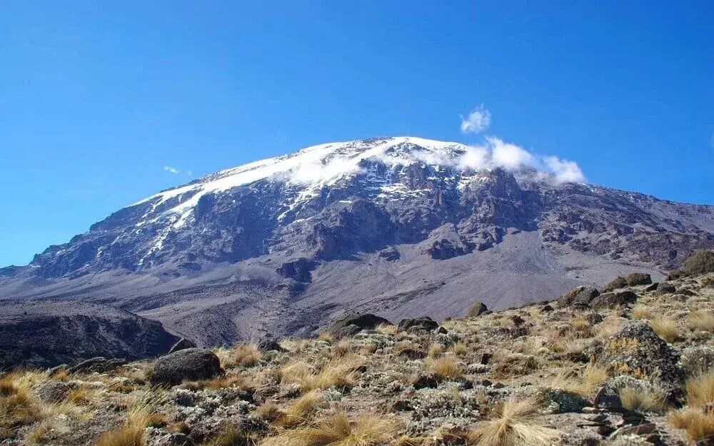 mount_kilimanjaro_glacier_snow-capped_tanzania-1 (1)