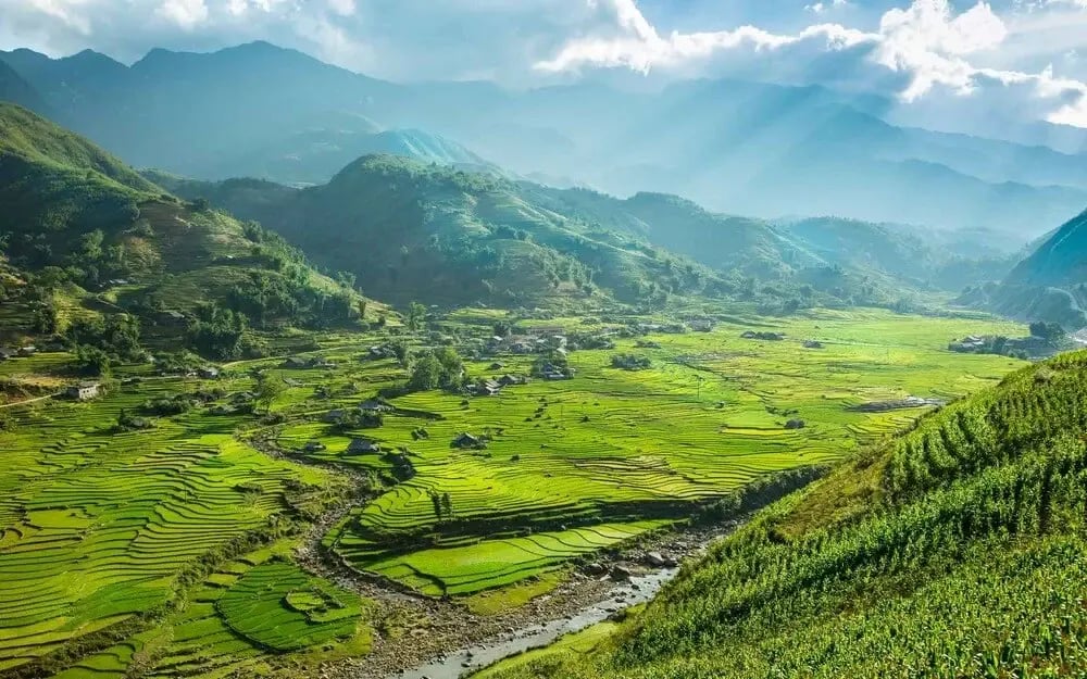 mountain_rice_terrace_sapa_vietnam_1920x1200
