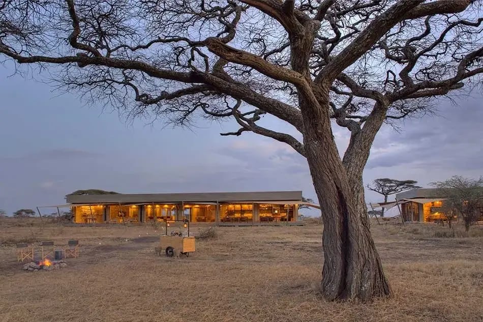namiri_plains_camp_tanzania