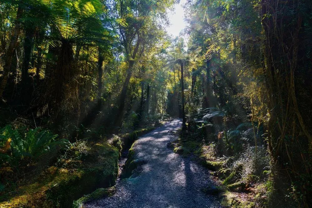 new_zealand_hokitika_gorge