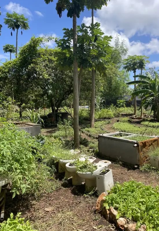 nomad_the_sands_diani_kenya_farm-1