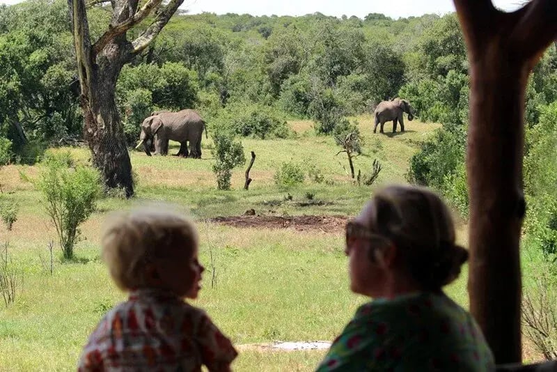 ol_pejeta_safari_cottages_sunny_holidays