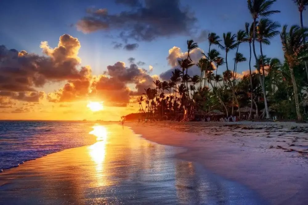 palm_fringed_beach_maldives