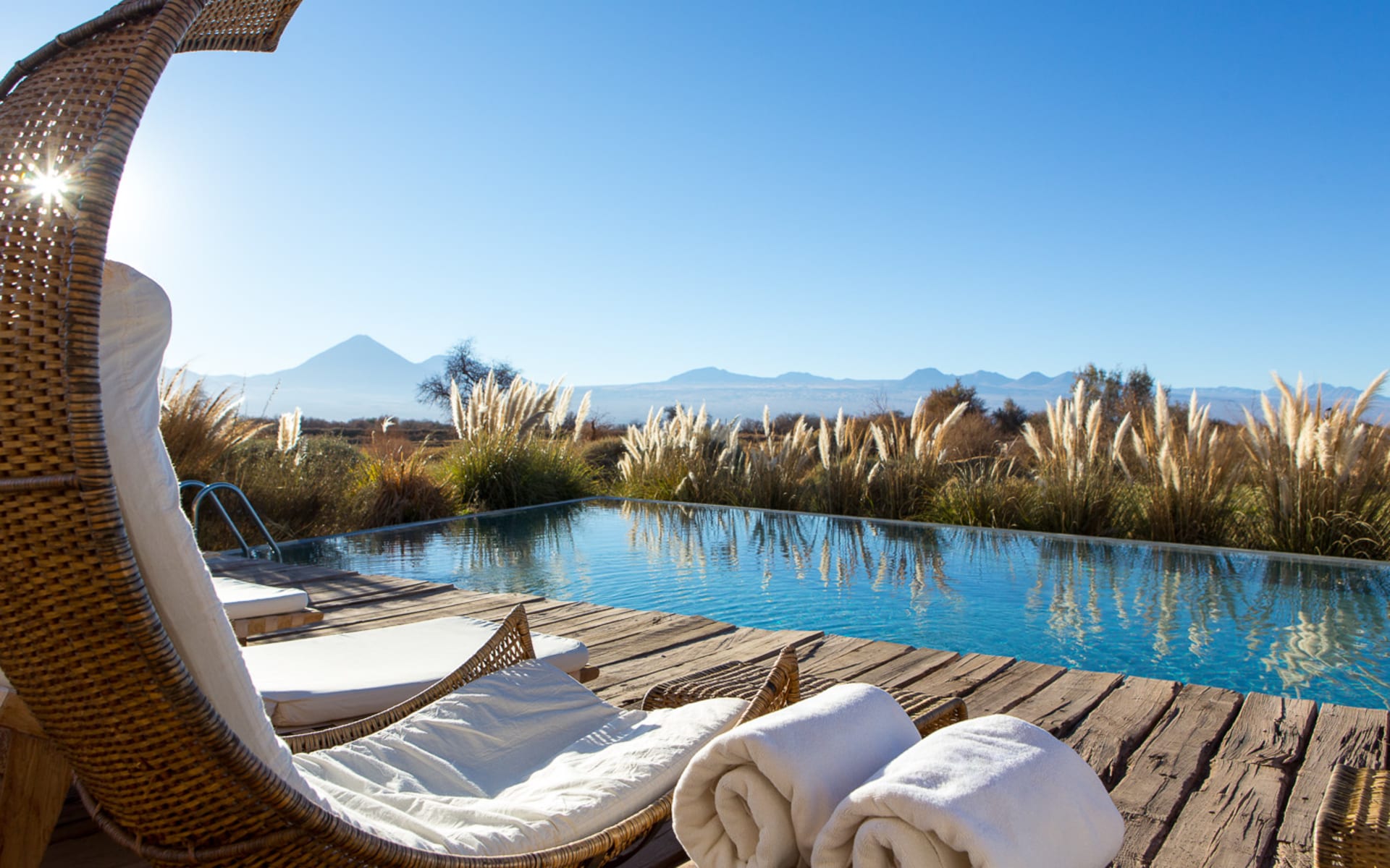 Crescent-shaped sun chairs overlook a rectangular pool and garden.