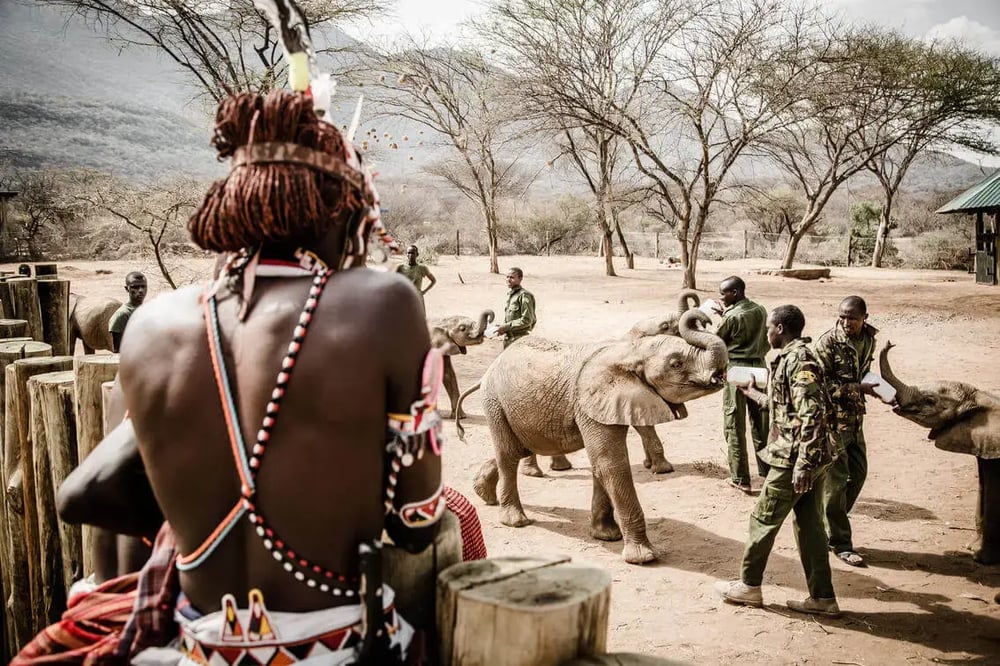 samburu_cultural_immersion_at_reteti_elephant_sanctuary_by_stuart_butler2