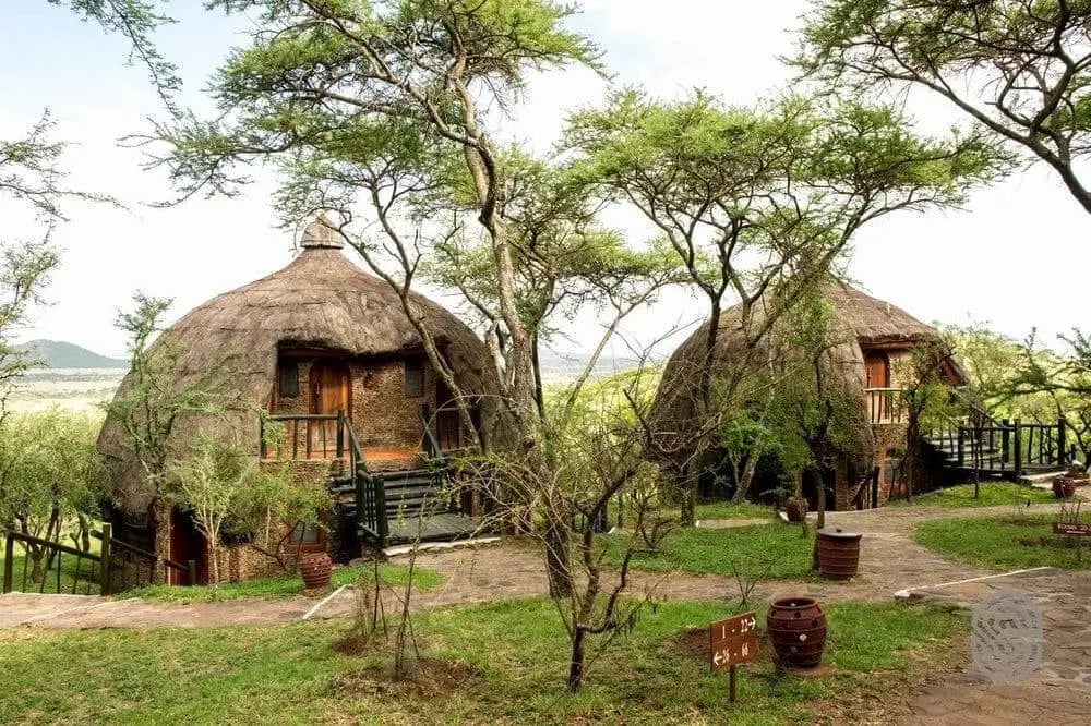 serengeti_serena_safari_lodge