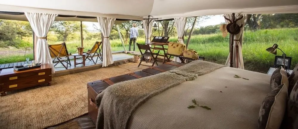 serengeti_wildebeest_pattern_pioneer_safari_camp
