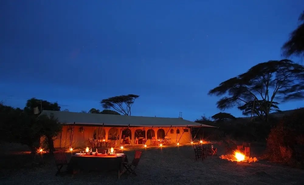 serengeti_wildebeest_saruni_wild
