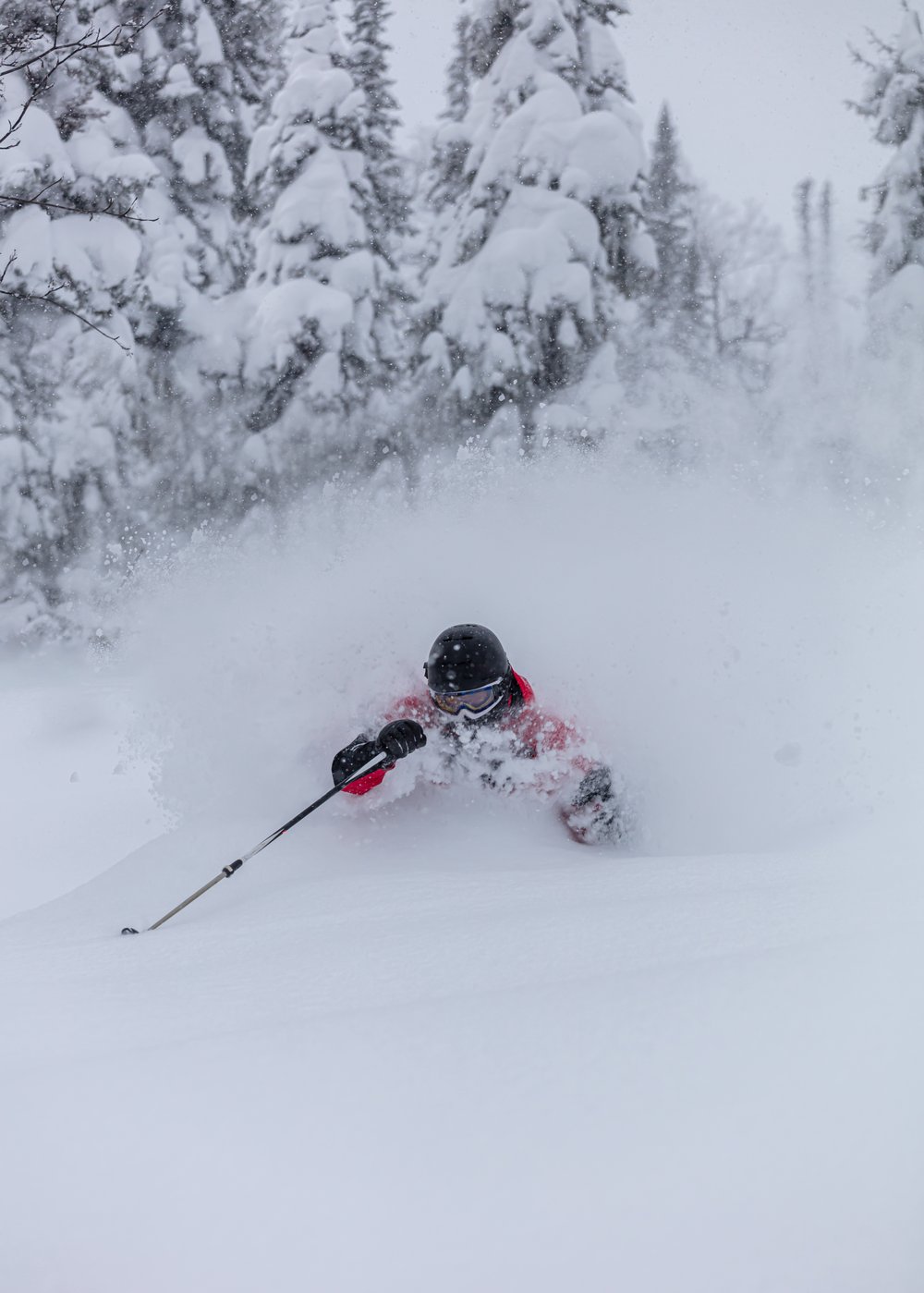 Skier in deep powder snow in Niigata, Japan