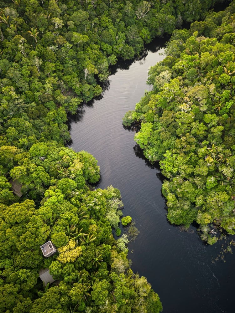 Luxury Brazil Holidays: Beaches, Rio & Amazon Rainforest