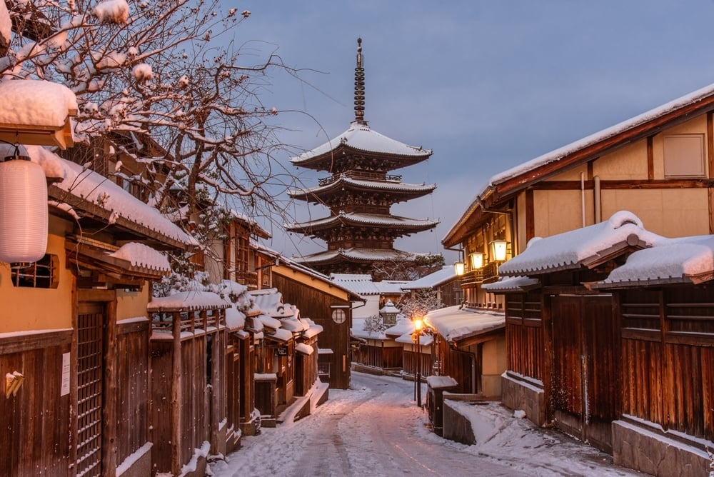 shutterstock_2315687505
