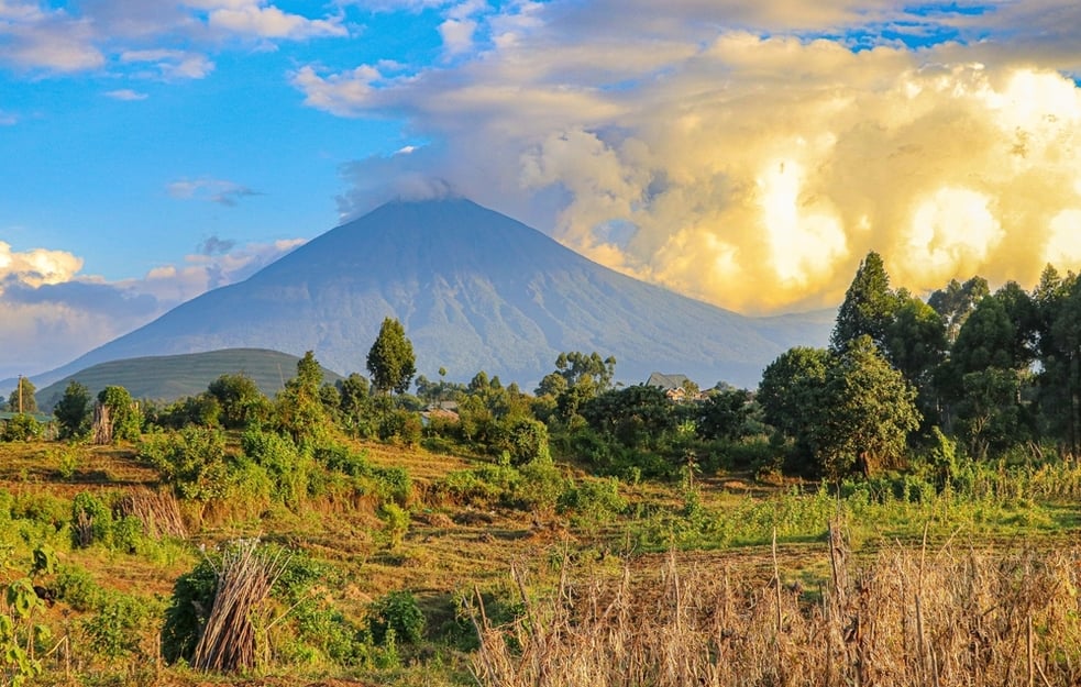 shutterstock_2614941757