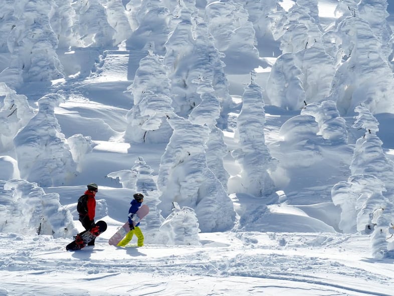 Frozen Forest Covered With Powder Snow