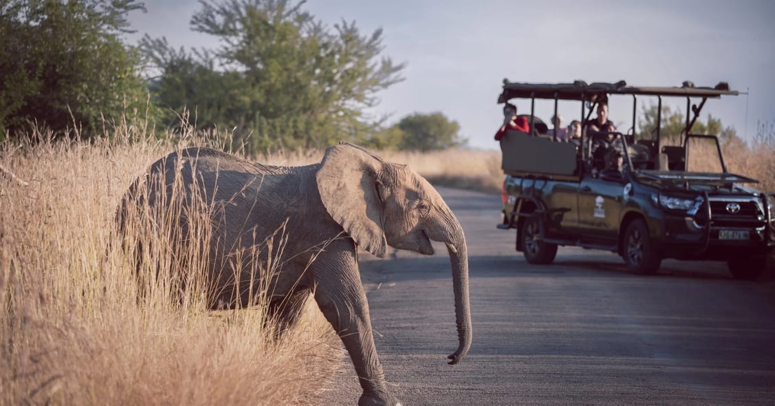 Six African Family Vacation Ideas You Need to Book