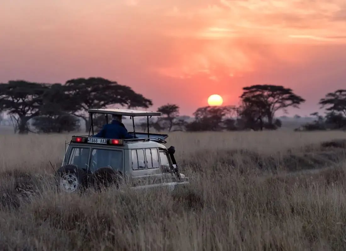 tanzania_safari_unsplash_et5iia-3