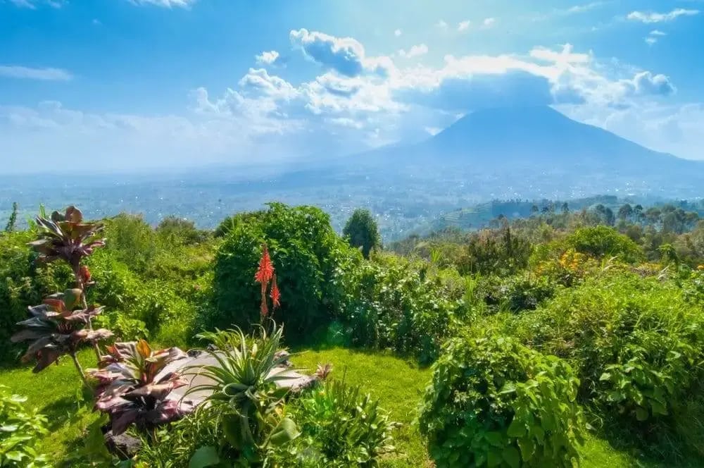 view_mount_sabyinyo_volcanoes_national_park_rwanda