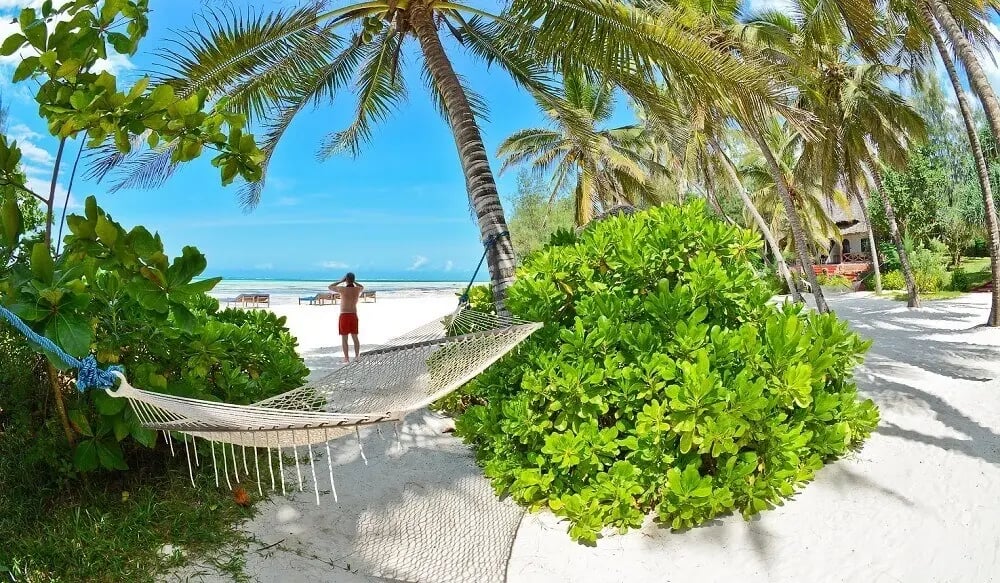 zanzibar_pongwe_beach_hotel_hammock_east_africa_honeymoon (1)
