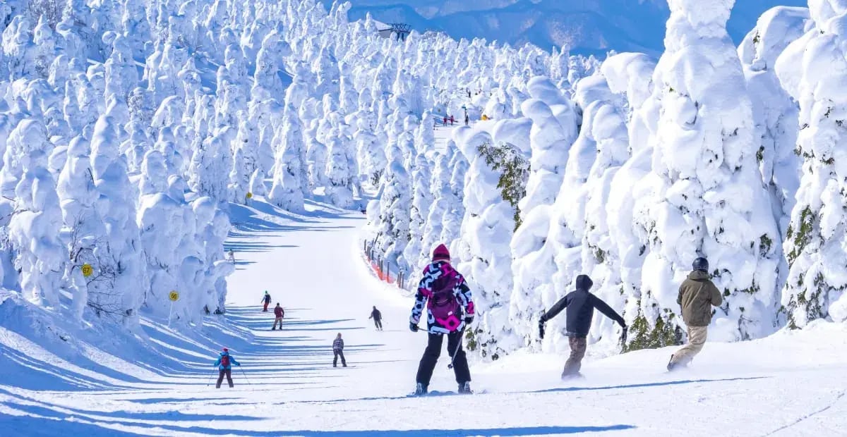 zao-onsen-ski-resort-japan