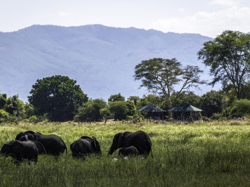 Malawi Honeymoon Escape