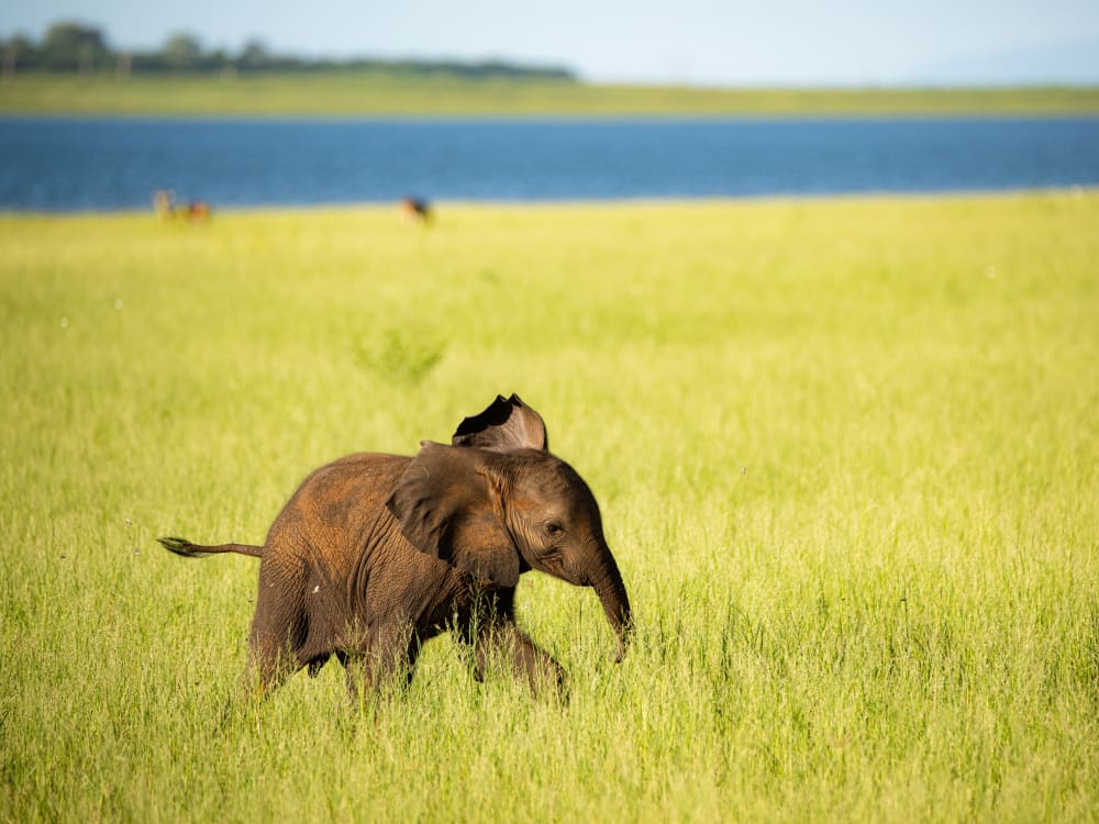 Matusadona National Park & Lake Kariba