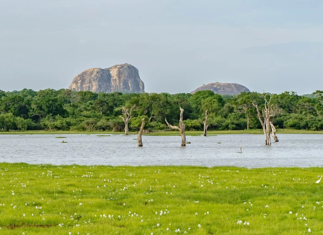 Yala National Park