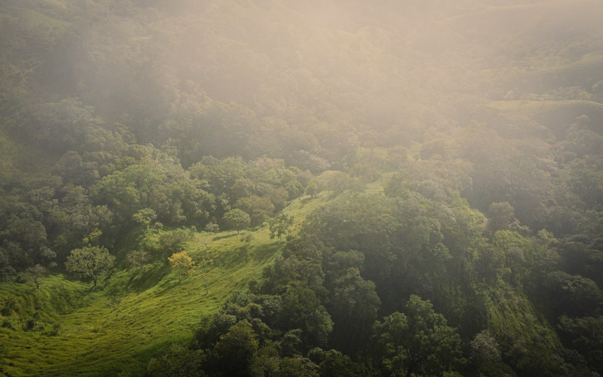 Monteverde_cloud_forest_costa_rica_free_stock_image_unsplashed_frames-for-your-heart_2021-1