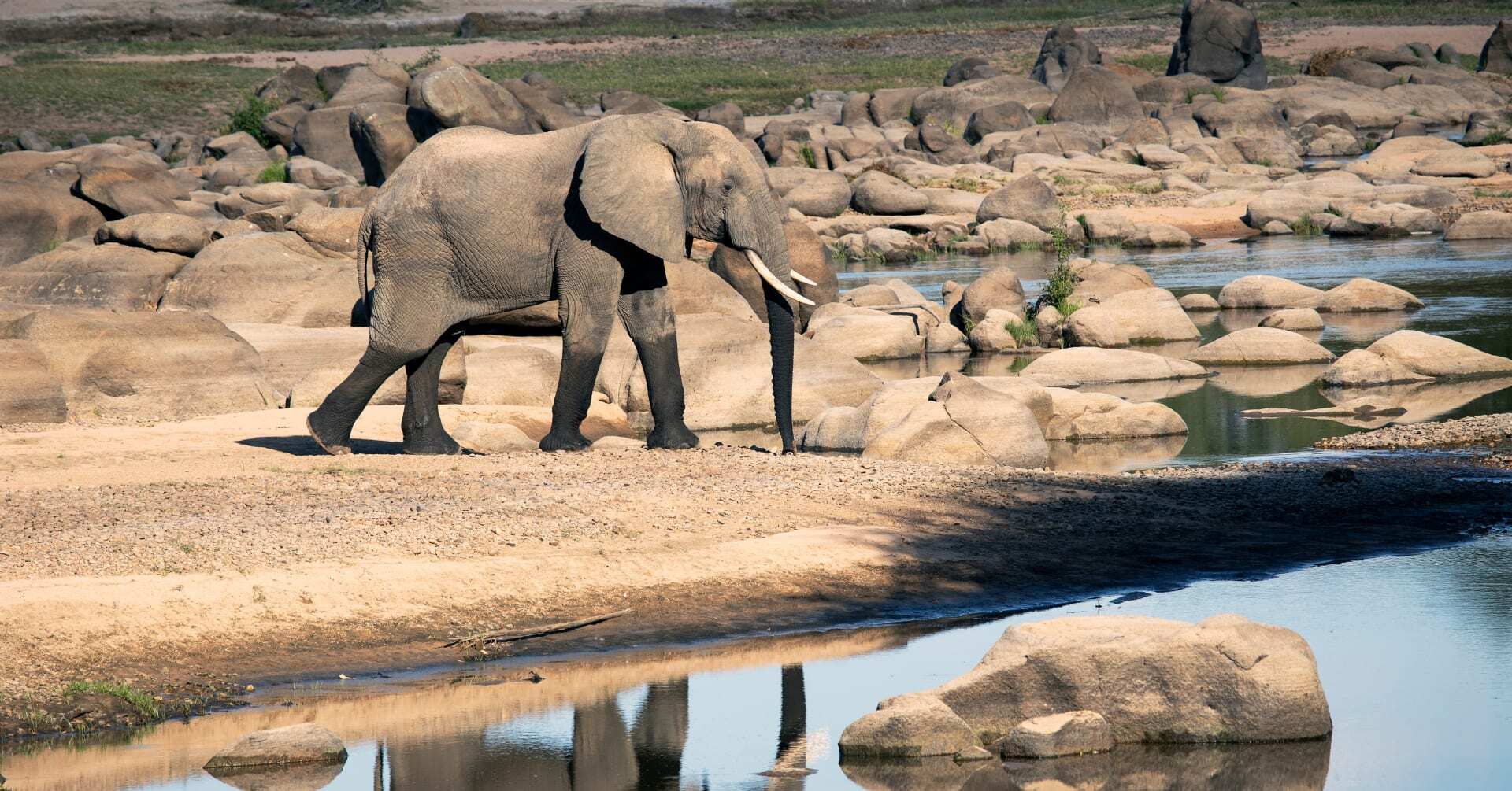 An elephant wanders the rocky shores of Ruaha National Park in Tanzania.