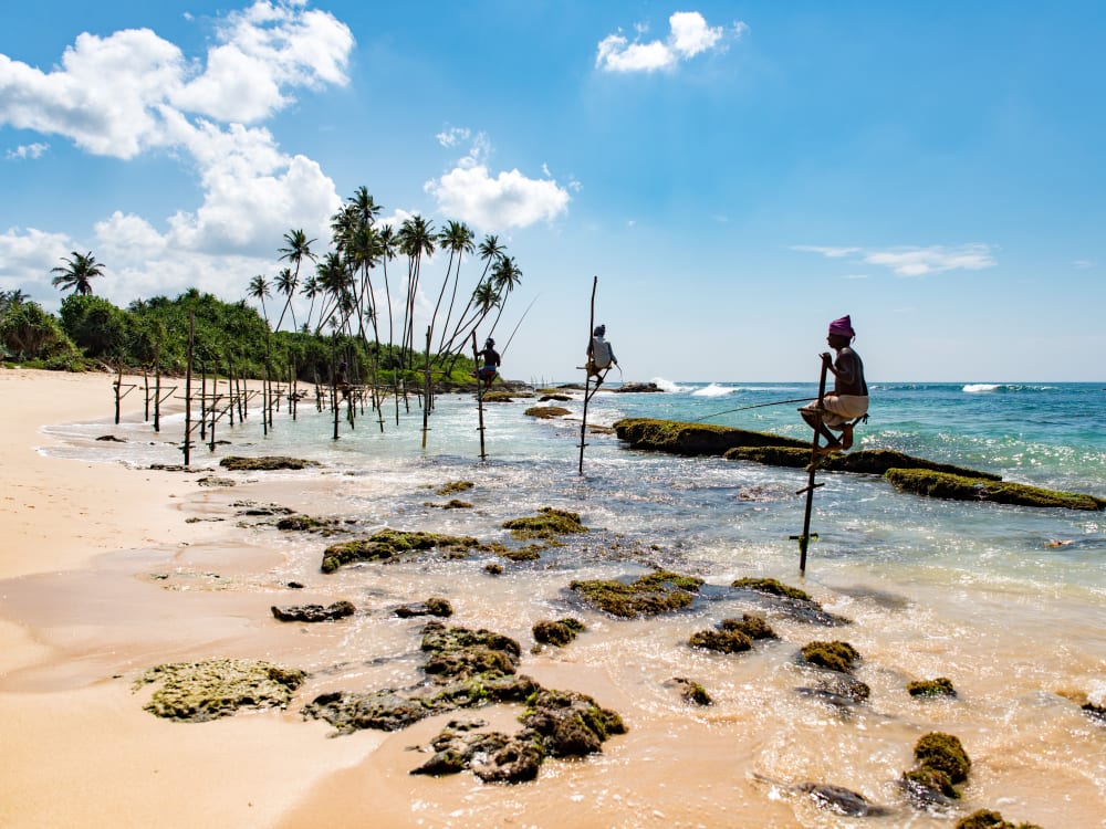 Sri_Lanka_Free_stock_Image_Unsplash_2018_CCDaniel_Klein-Qx8_d5dGhrs_tltkqg-1