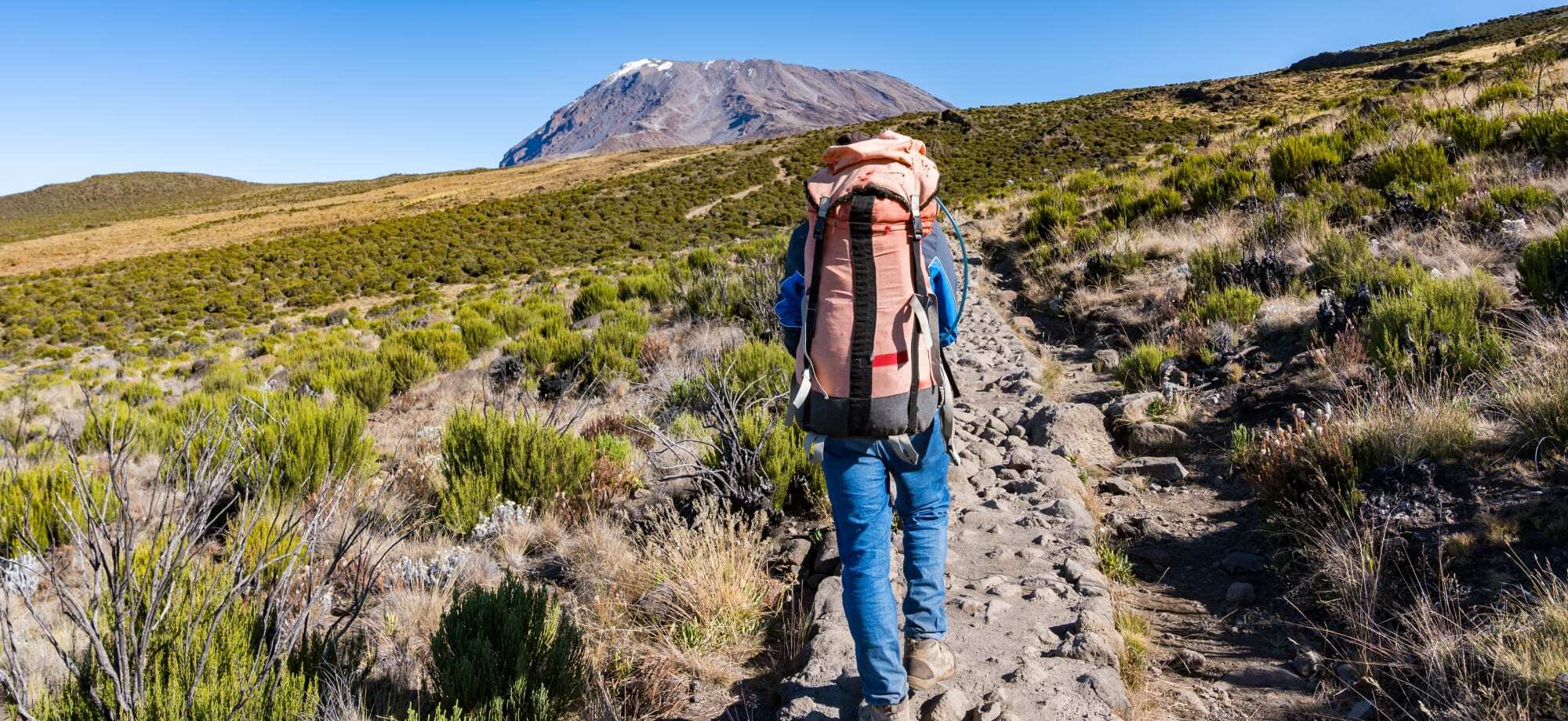 Picture of Travel Images