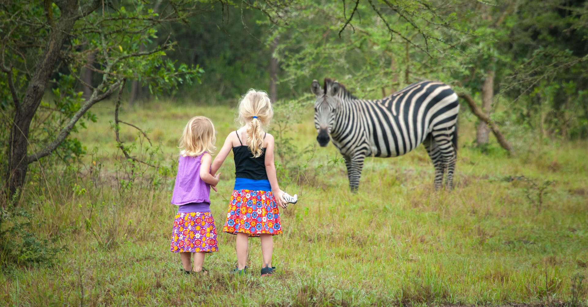 Two young girls watch a zebra graze as they carry their own toy zebra.