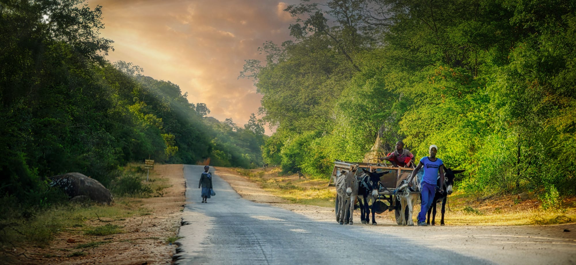 zimbabwe_donkey_cart_pexels_cbar4l