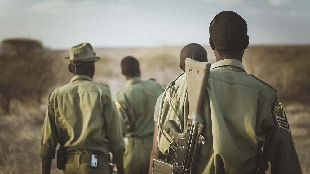 Black rhino tracking in Sera Conservancy Kenya on foot