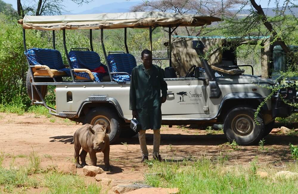 Loijupu the baby rhino in Kenya