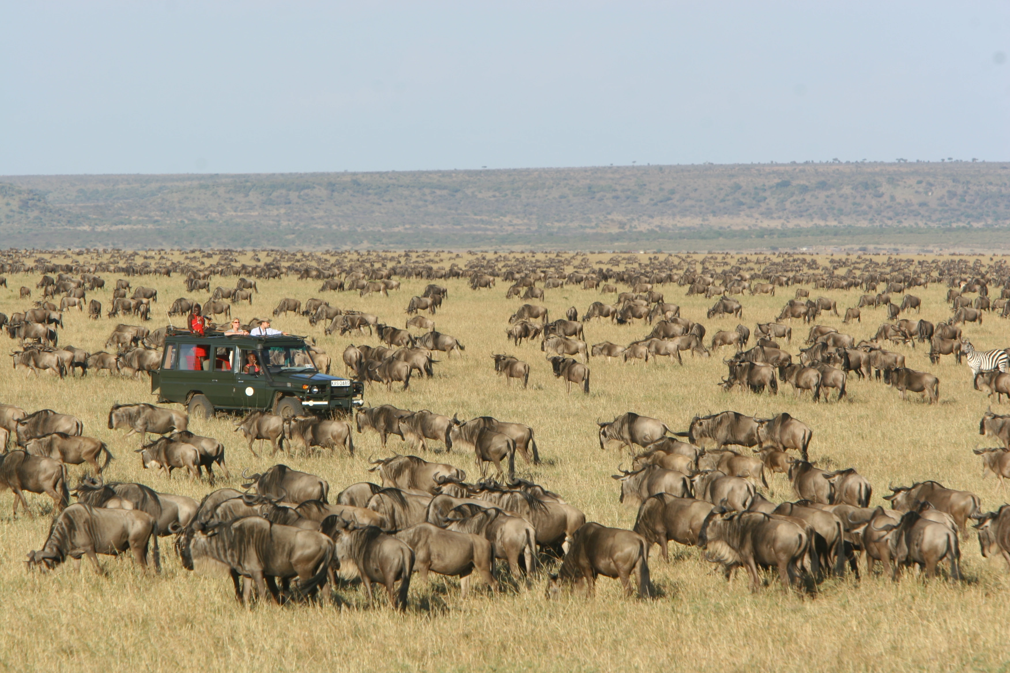 Luxury Vacations To Kenya Safaris Wildlife Adventures