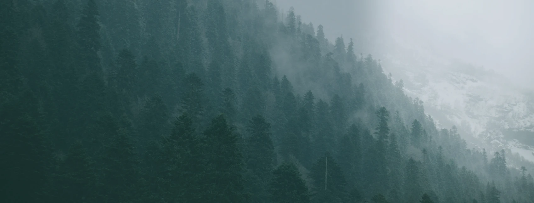 Bg-image